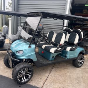 Electro EV 6 Seat Golf Cart
