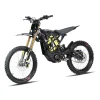 2025 Surron bike - Light Bee x Black